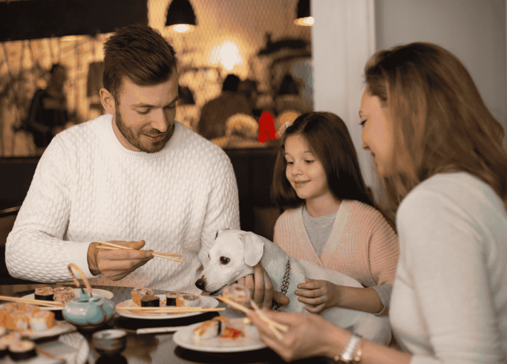 Dog Friendly Restaurants North Berwick