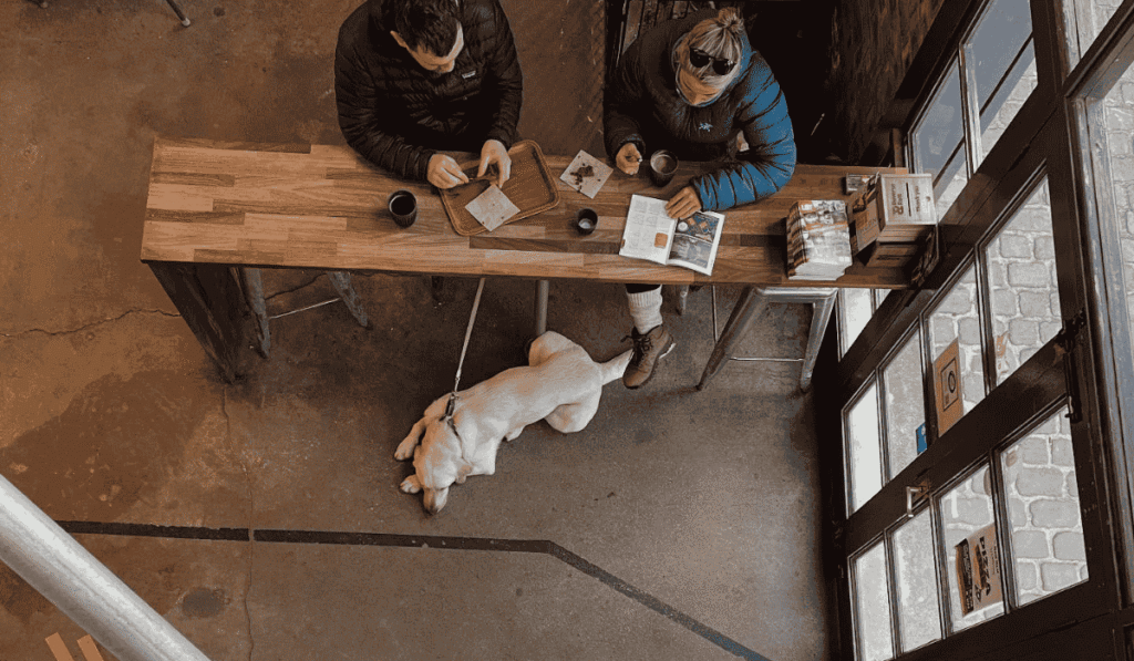 Steampunk Coffee - Best Dog Friendly Restaurants in North Berwick